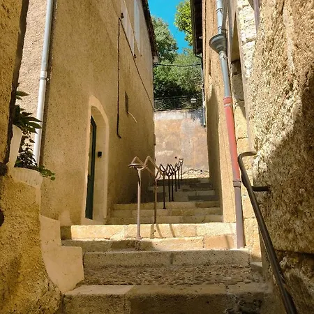 Le Seize - Dans Le Centre Historique D'auch