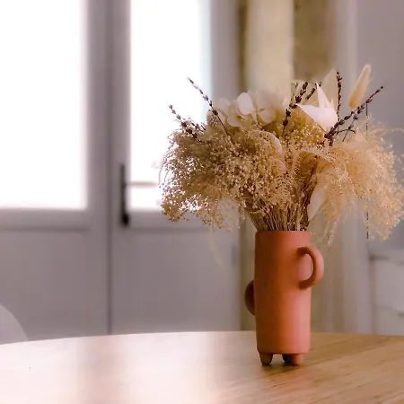 Appartement Le Seize - Dans Le Centre Historique D'auch *