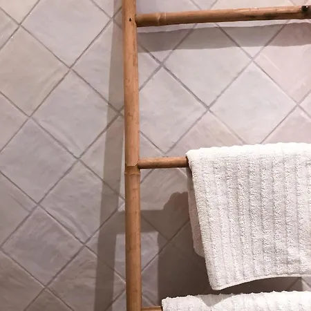 Le Seize - Dans Le Centre Historique D'auch *