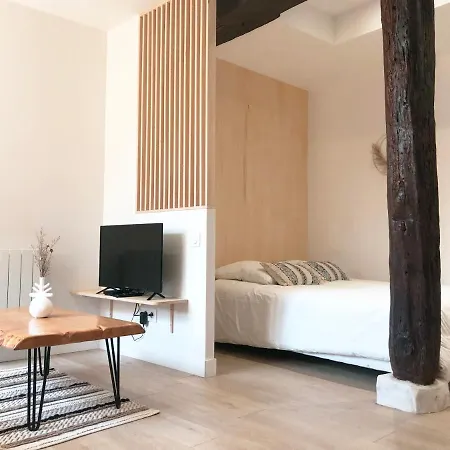 Le Seize - Dans Le Centre Historique D'auch