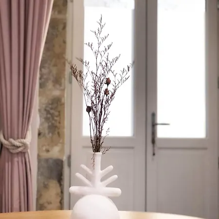 Le Seize - Dans Le Centre Historique D'auch Apartman *