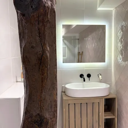 Le Seize - Dans Le Centre Historique D'auch * Auch